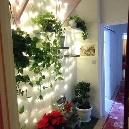Intero Appartamento Catania Policlinico 格拉维纳迪卡塔尼亚 外观 照片